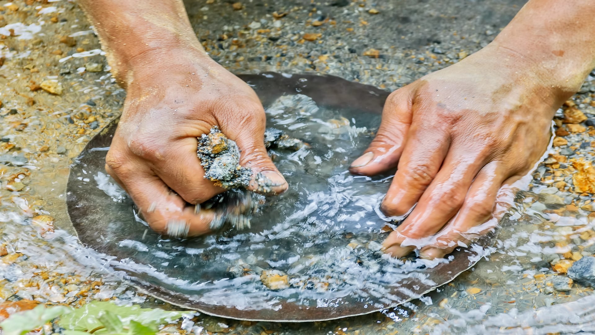 Ho to California! The Draw of the Gold Rush