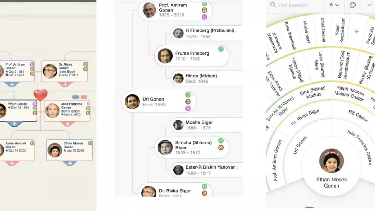 Using different family tree views for your research
