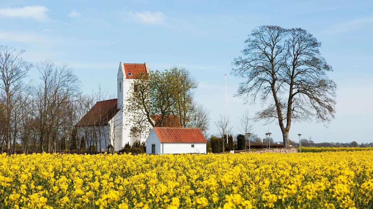 Danish Research with Online Records at MyHeritage and Beyond