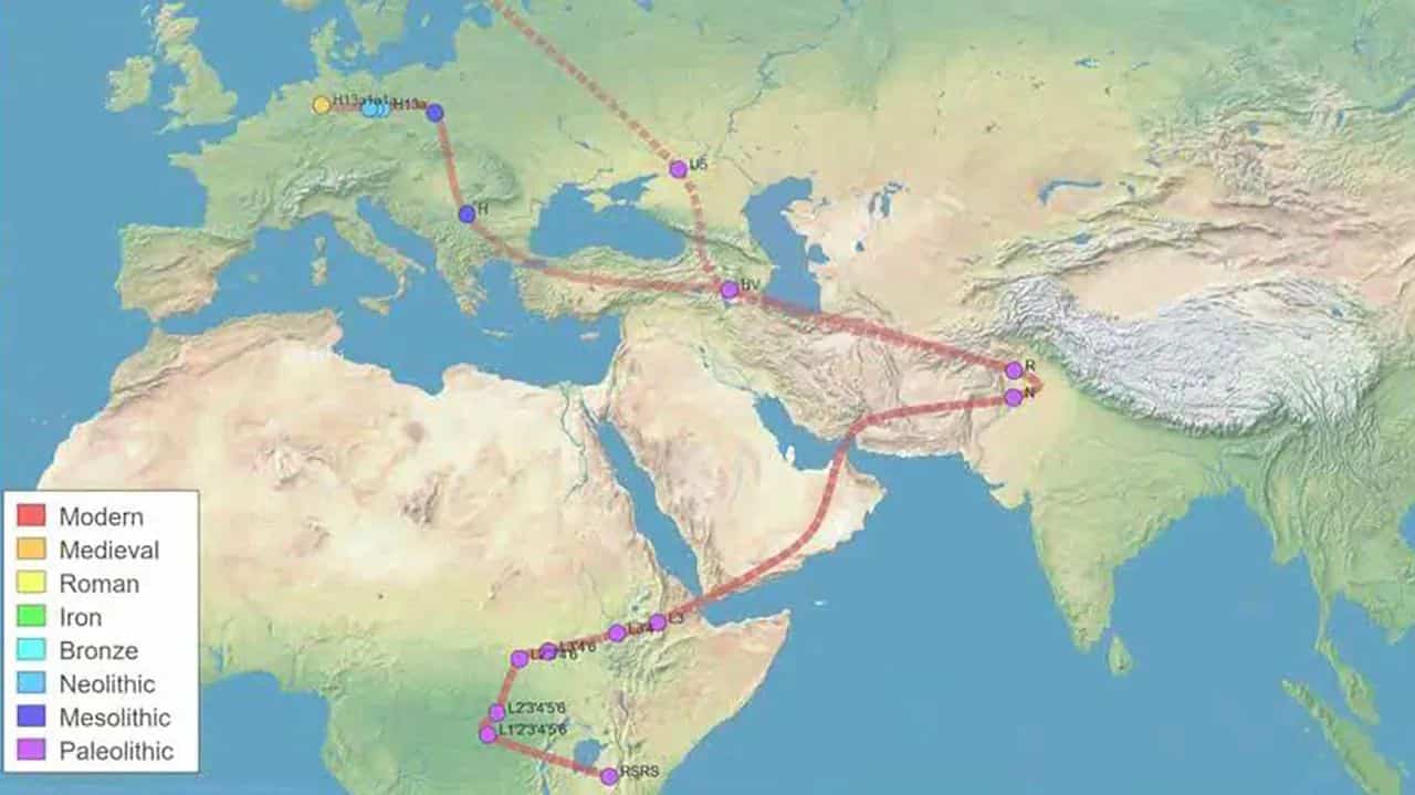 How and When Did Our European Ancestors Get to Europe?