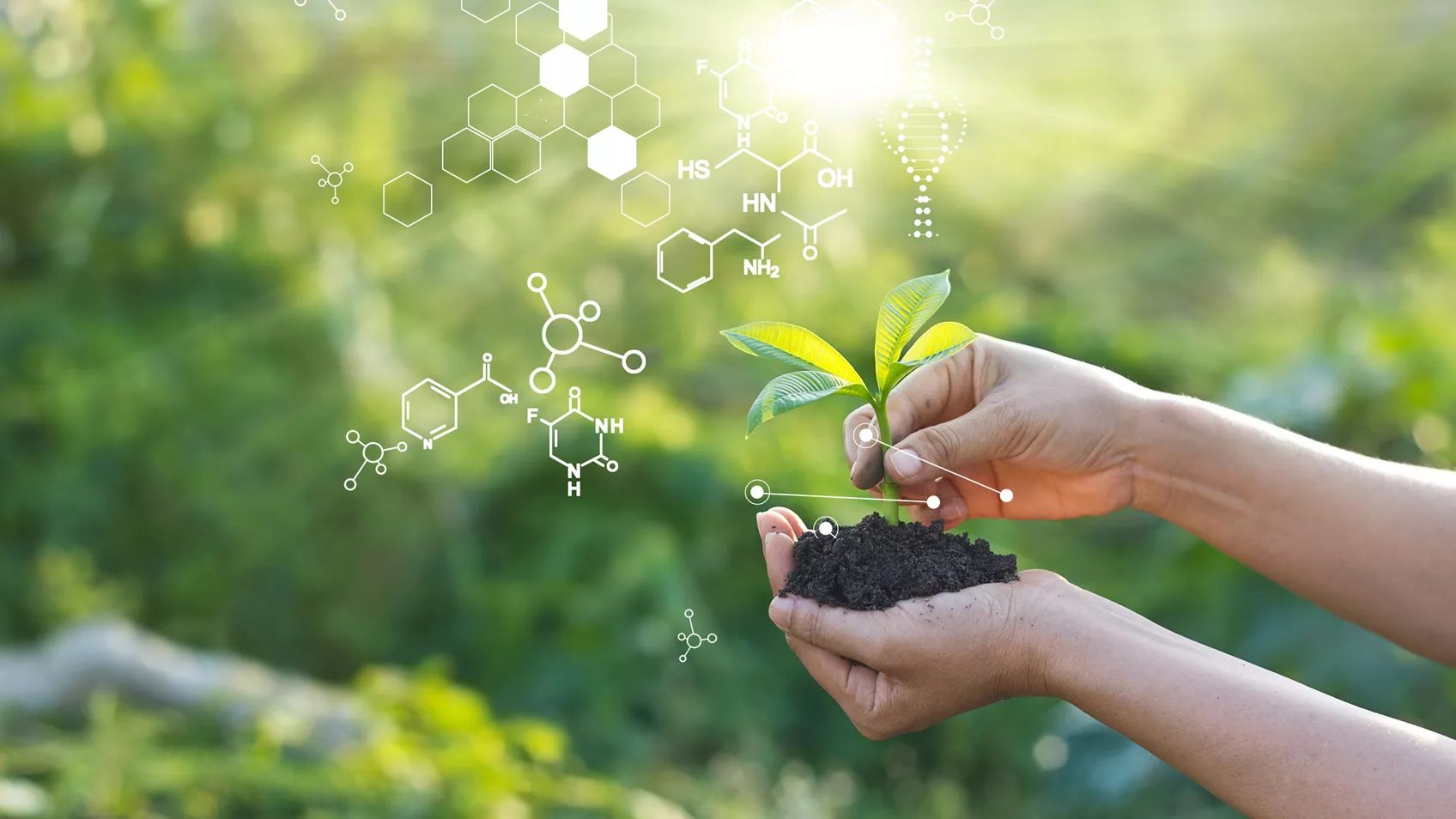 Which Spot Does X Mark, Anyway? X-DNA Testing in Action