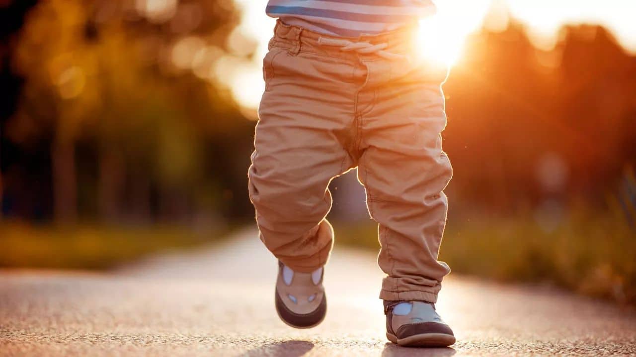 1 of 5 - Legacy for Beginners