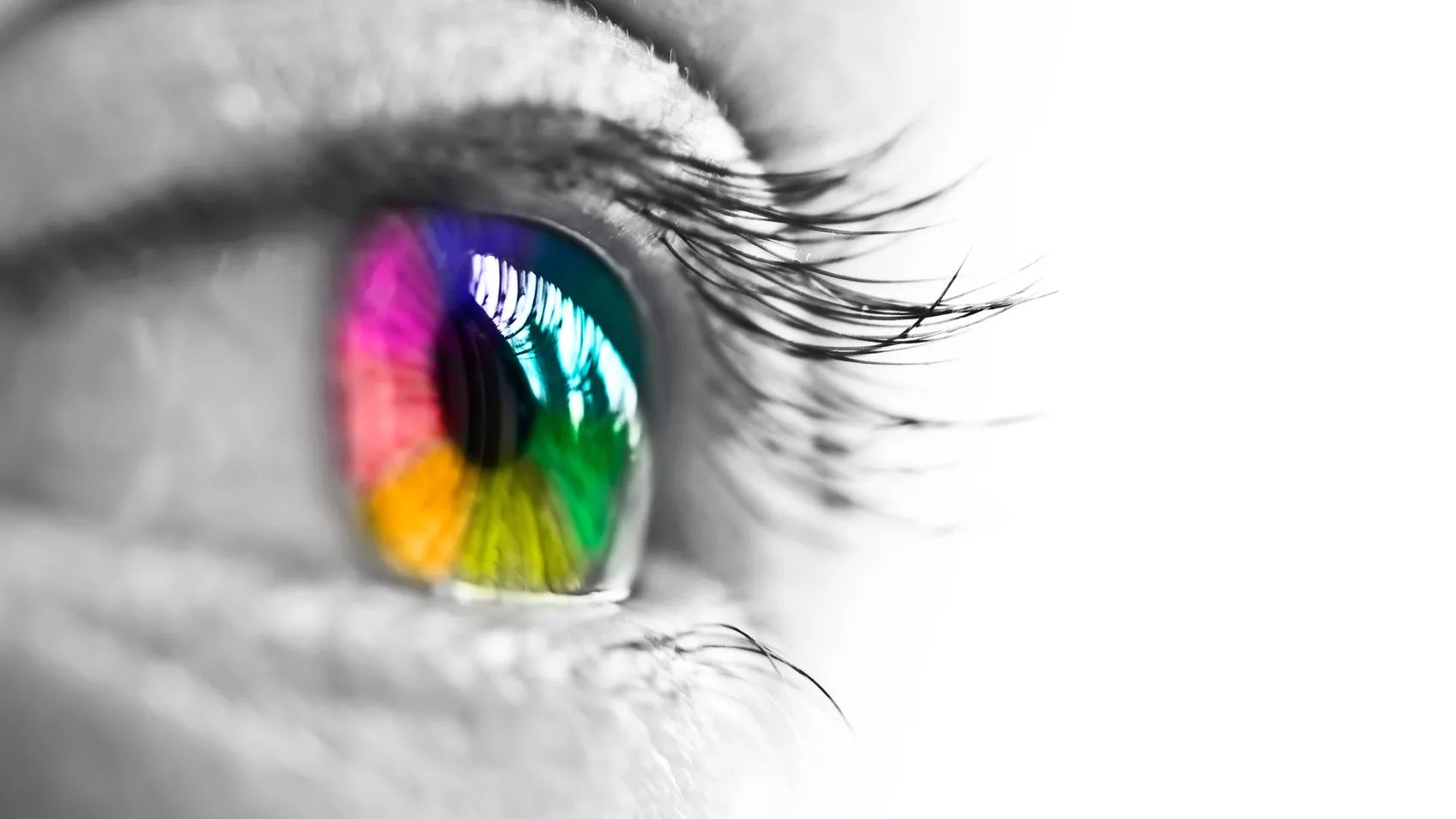 Understanding Ethnicity Estimates