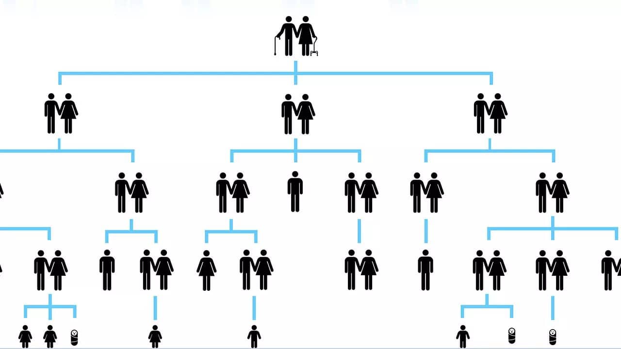 Linking Family Trees to DNA Results