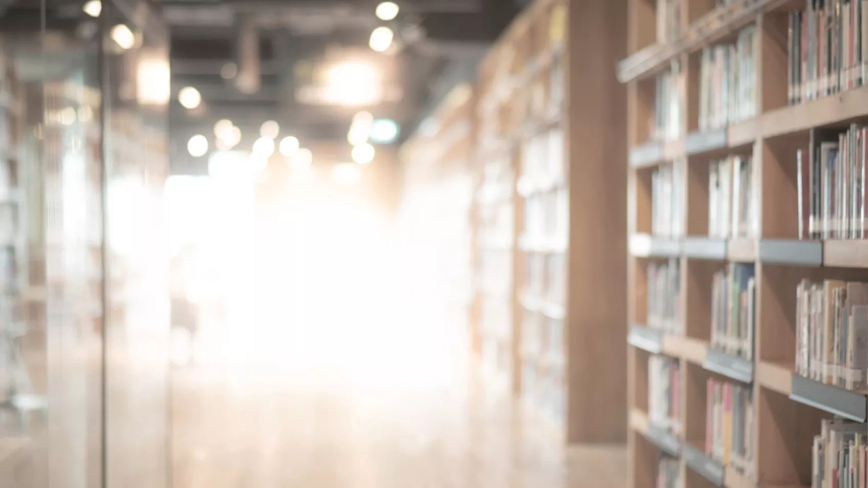 Using Another Library Source: the Government Document Section