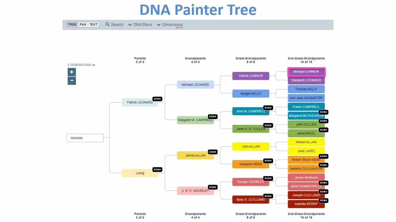 Unlocking the X-Factor: Key Tips for Using X-DNA in Your Research