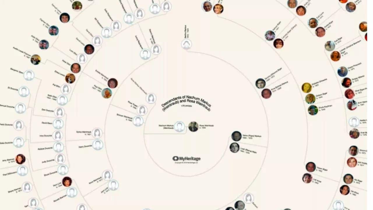 Diagramme und Berichte für die Ahnenforschung