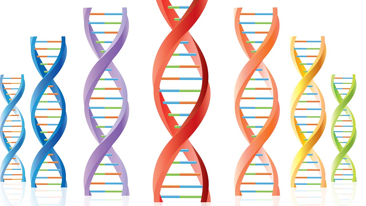 The Power of Siblings - the DNA Tests of Five Brothers