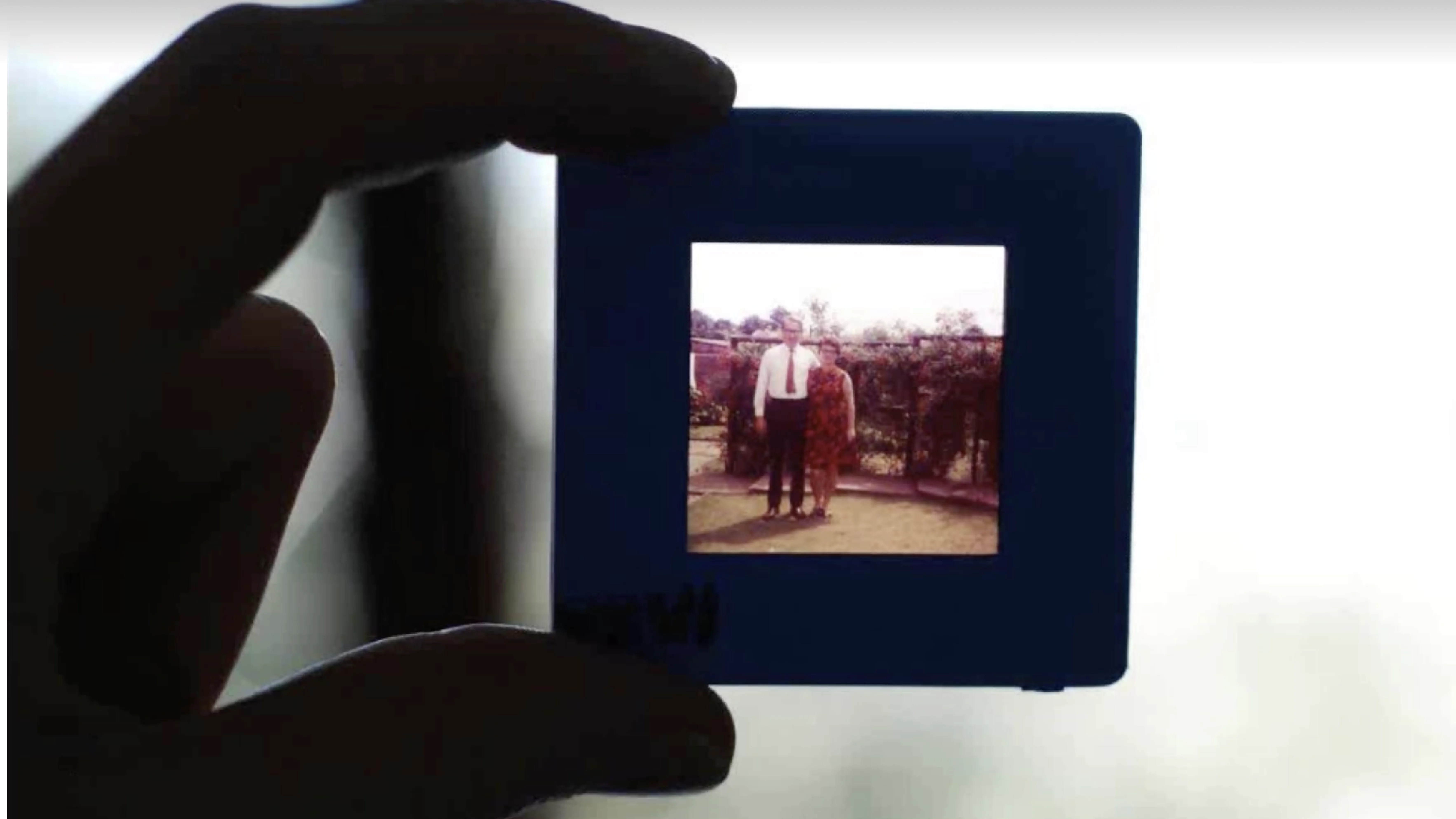 The Family DNA Project