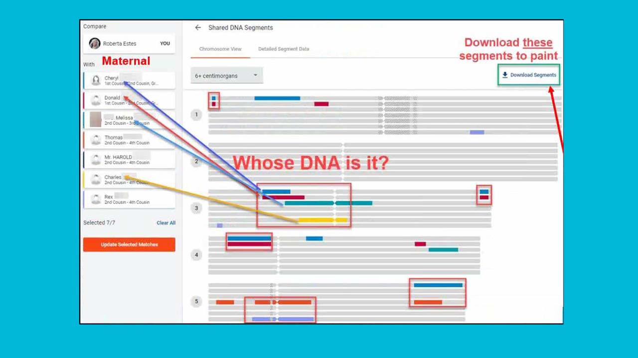 DNA Academy 2 - FamilyTreeDNA
