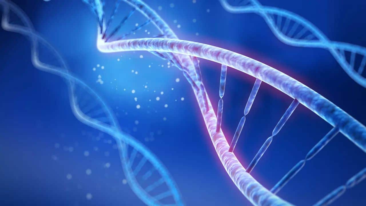 DNA Corroborates Oral Tradition About the Parents of a Freedman