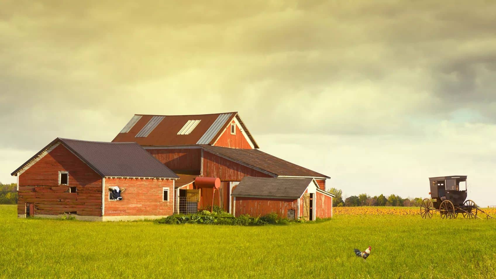 Ohio's Recorder's Office (BONUS webinar for subscribers)