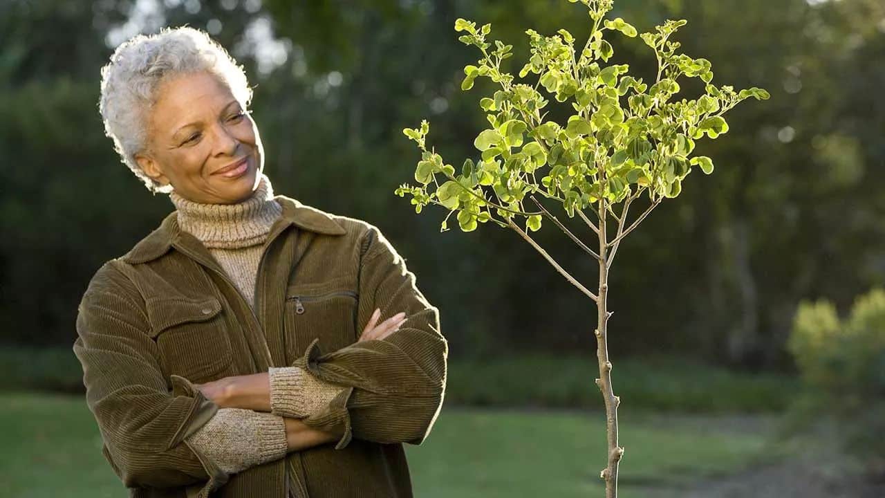 Grandmama Said - Verifying Oral History