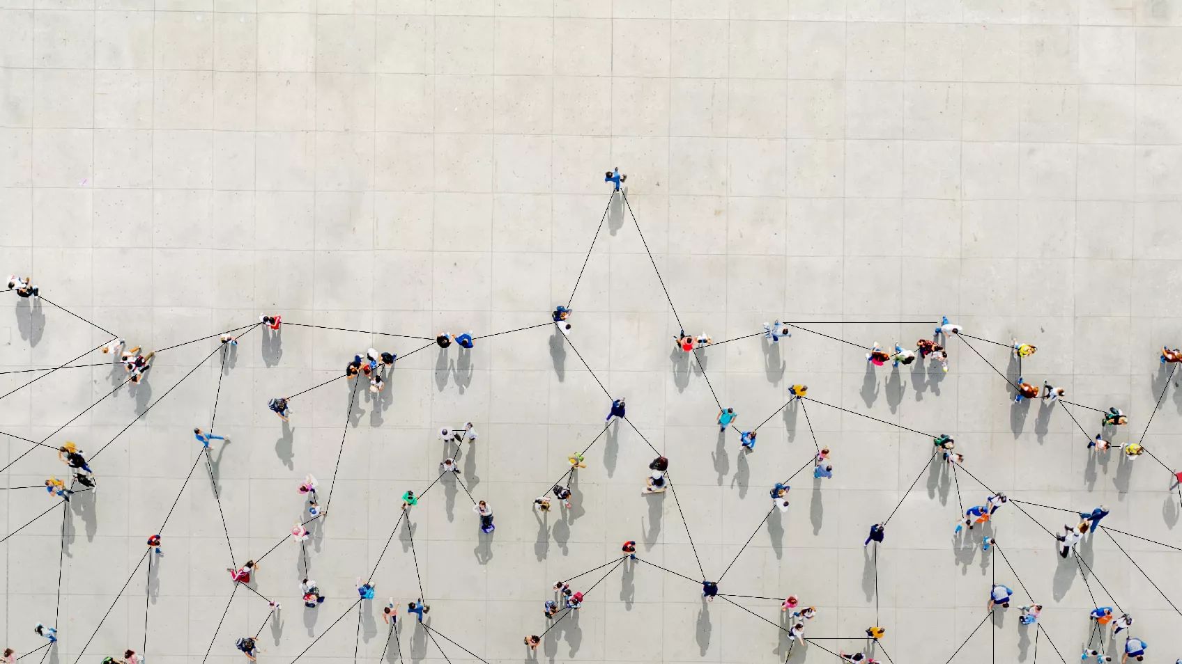 The World Wide DNA Web