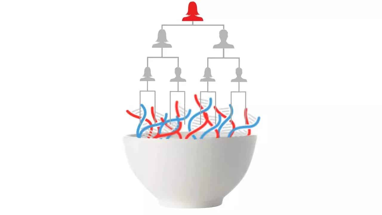 Så tolkar du DNA-resultaten om du har rötter där alla är släkt med alla