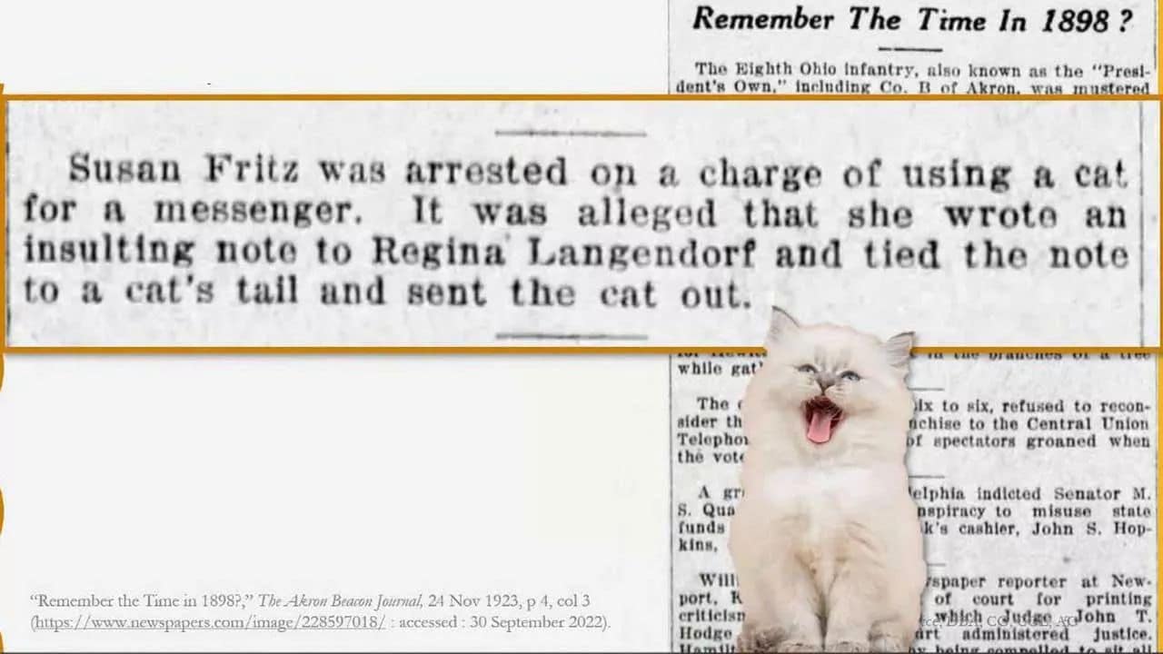 Consult via…Explore with…Discover through…Literature Reviews (a 2022 Reisinger lecture)