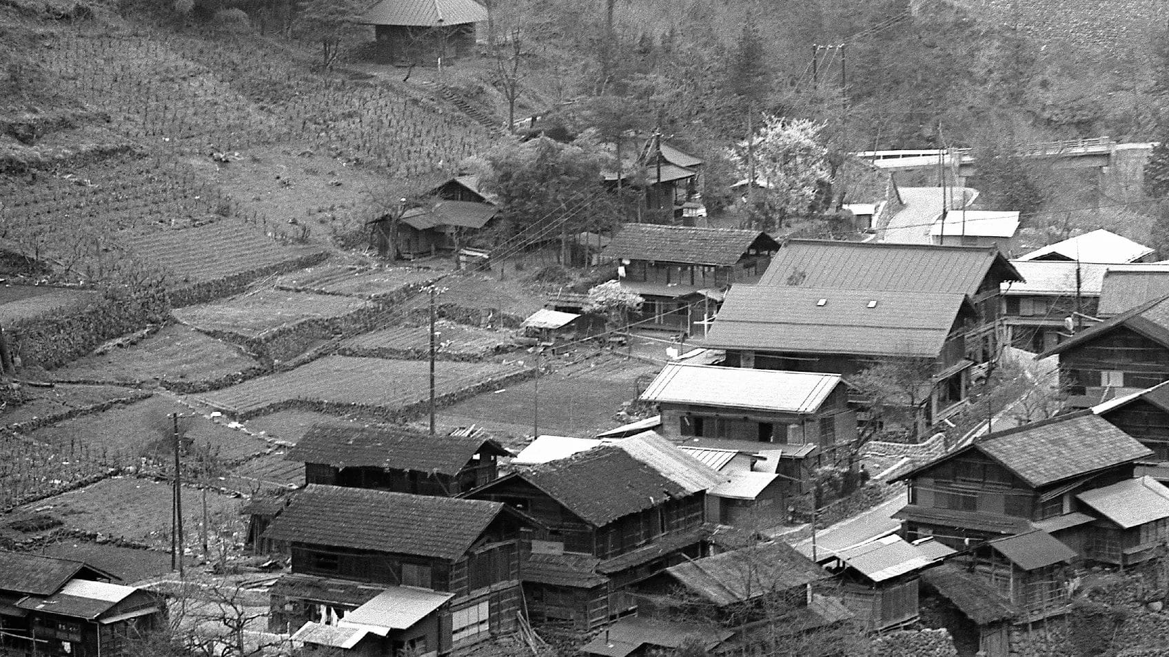 Squatters, Pre-emptioners and Thieves: Early Land Records