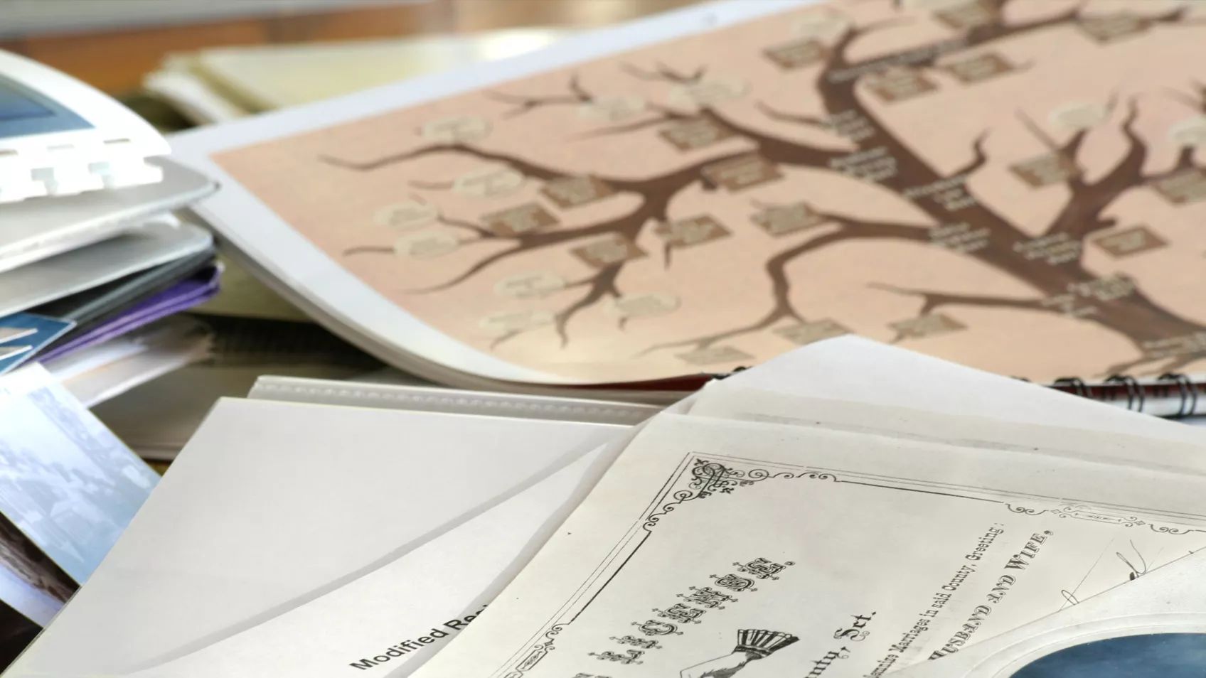 יצירת עץ משפחה במייהריטג׳