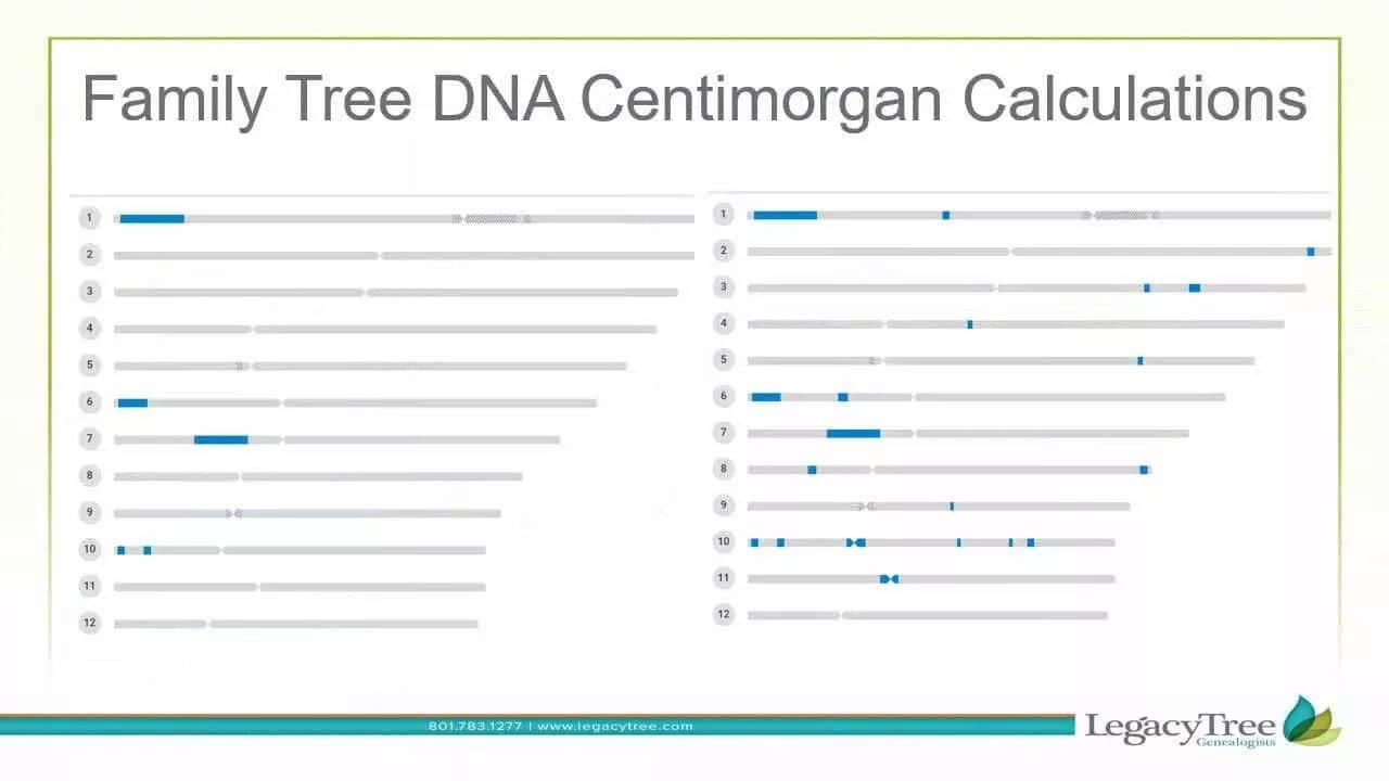 How to Recalculate centiMorgan Totals at FamilyTreeDNA (Advanced)