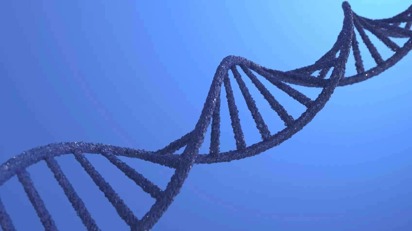 MAXY DNA: Correlating mt-at-X-Y DNA with the GPS