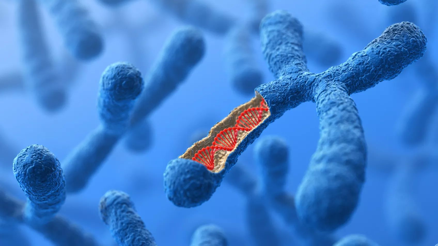 Familie zoeken met MyHeritage DNA - deel 1