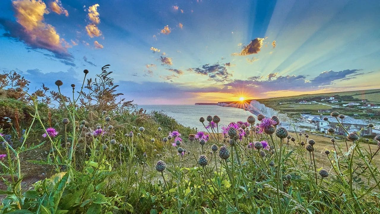 Hidden in Plain Site: English and Welsh websites