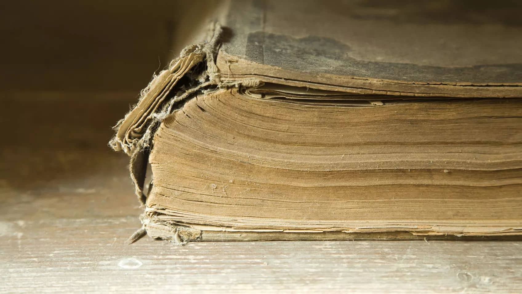 1910 1940 Federal Censuses & State Censuses to Fill in the Gaps