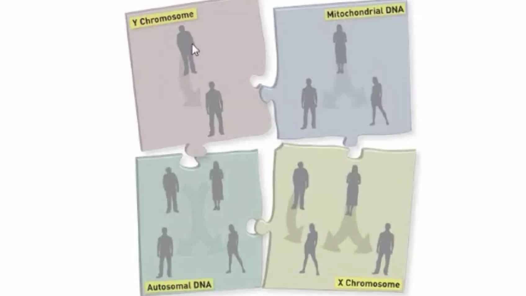 The Power of DNA in Unlocking Family Relationships