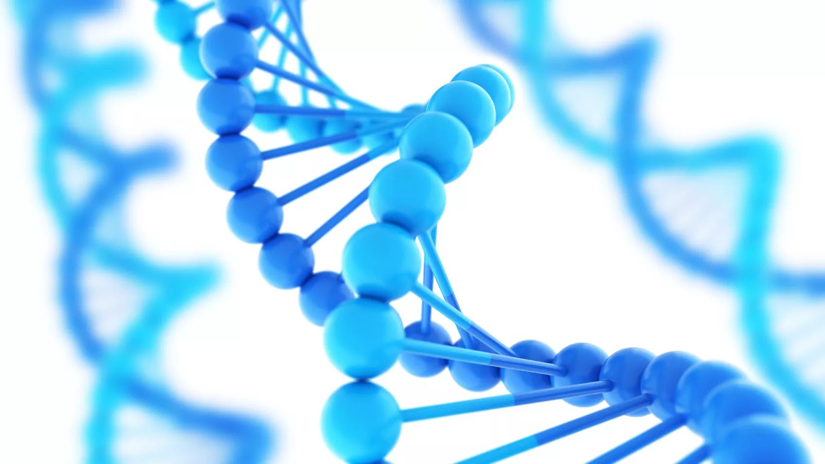 Techniques for Integrating Documentary and Genetic Information in a Research Report