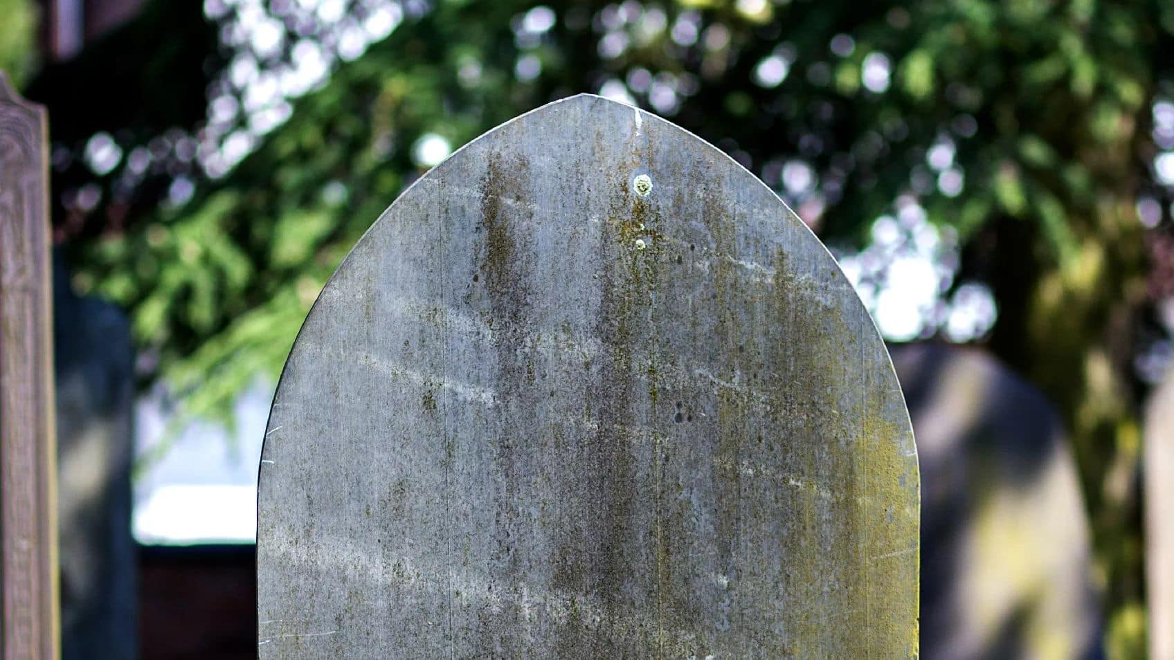 When Freedom Came - Documenting the Family's Freedom Story