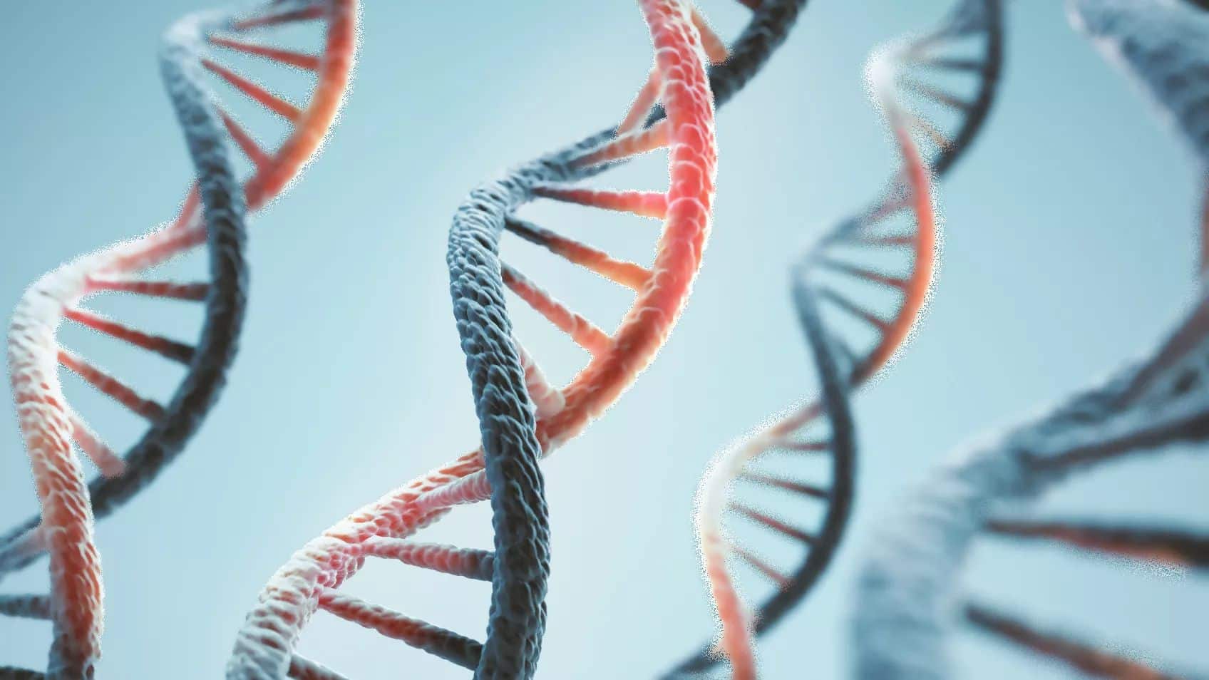 Foundations in DNA 1 of 5: Genealogy and DNA