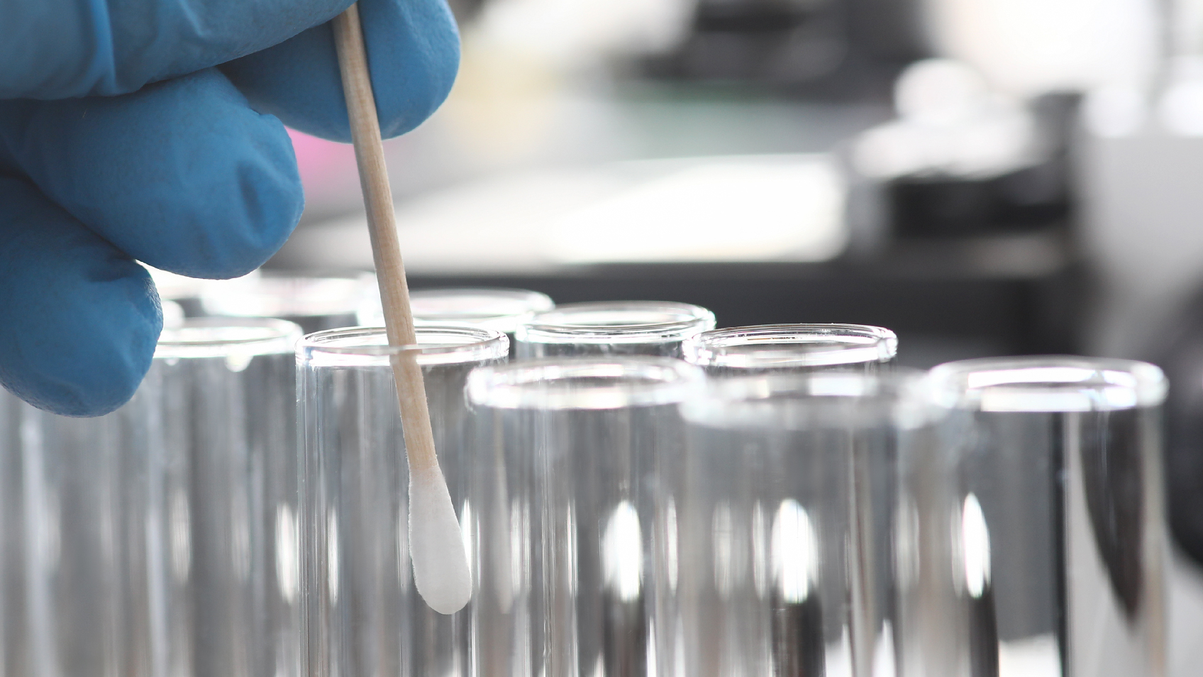 Navigating YDNA at FamilyTreeDNA.com