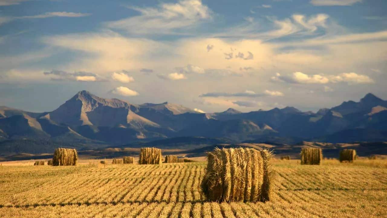 Through the Prairies to the Rocky Mountains: Records of Western Canada