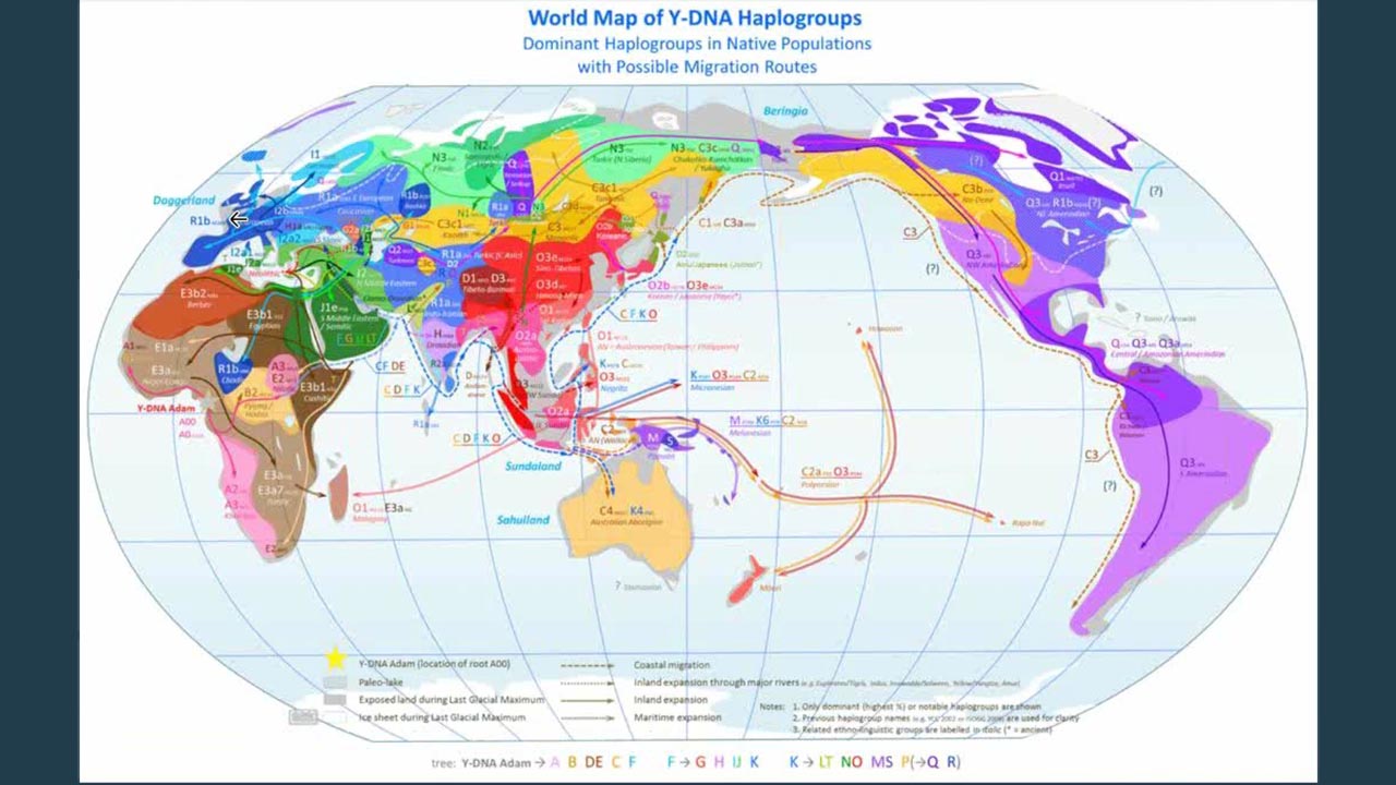 Demystifying Haplogroups