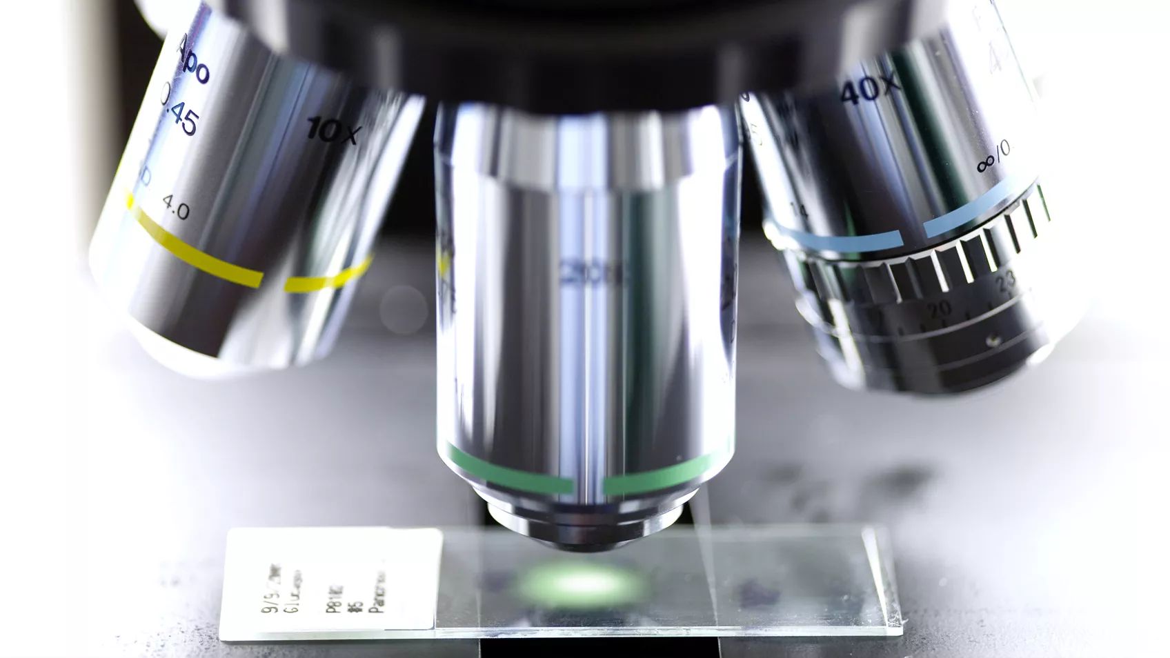 Betty Jeans Story - Forensic Genealogy, DNA and Adoption