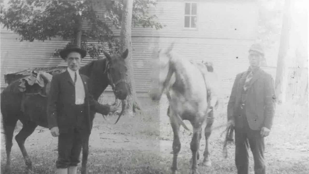 Deconstructing Family Stories: Are They Fact, Fiction, or a Little of Both (a 2023 Reisinger Lecture)