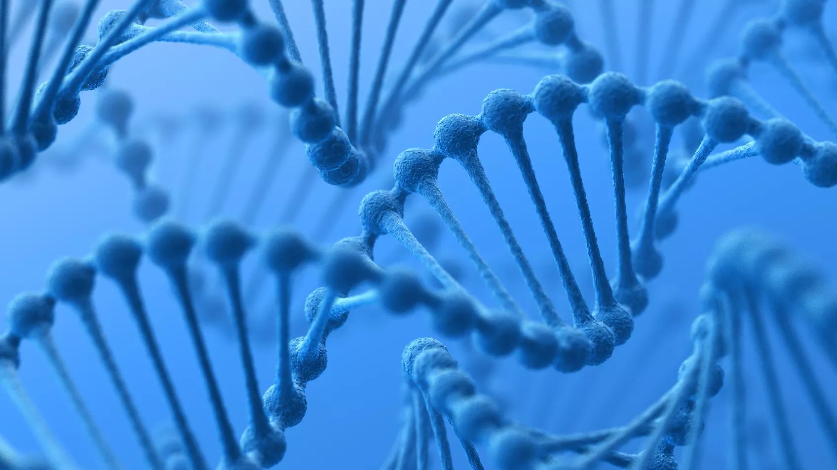 Familie zoeken met MyHeritage DNA - deel 2