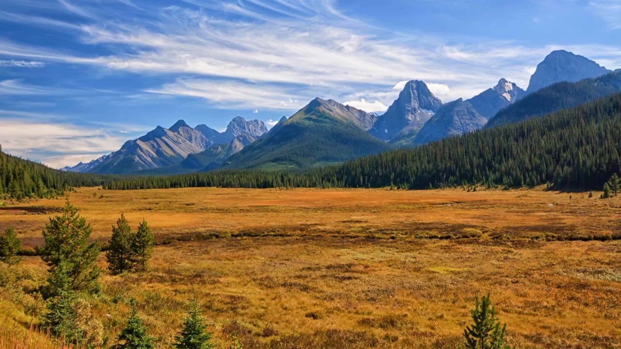 Tracing Your Alberta Connections