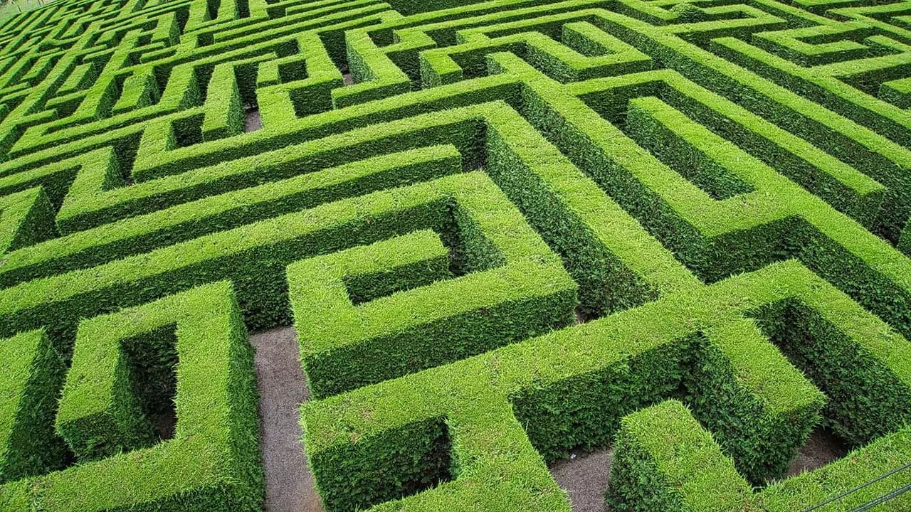 Deconstructing a Conflicted Census Enumeration: Carrie Peterson aka Clara Moore