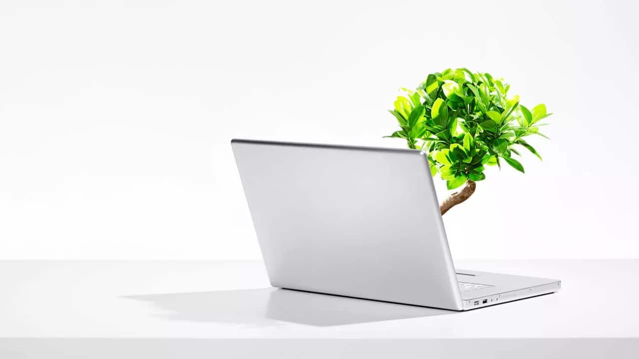 Building Family Trees for Your DNA Matches