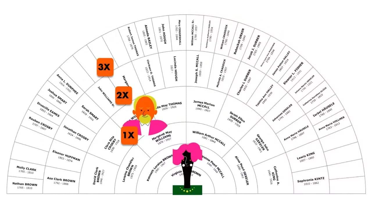 Creating a DNA plan for Geoff's brick wall