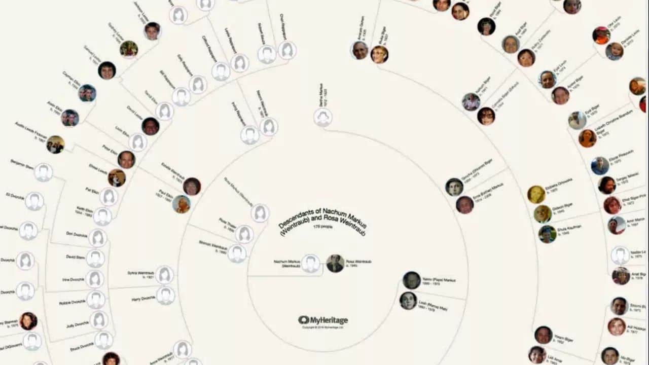 Organiser din slægtsforskning med diagrammer på MyHeritage