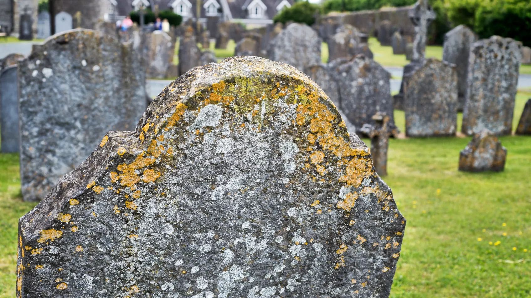 After You're Gone - Future-Proofing Your Genealogy Research (BONUS webinar for subscribers)