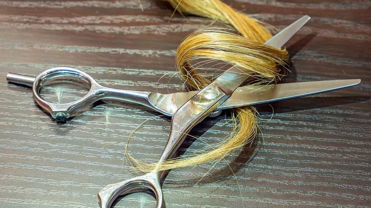 DNA Testing of Hair for Genealogy?