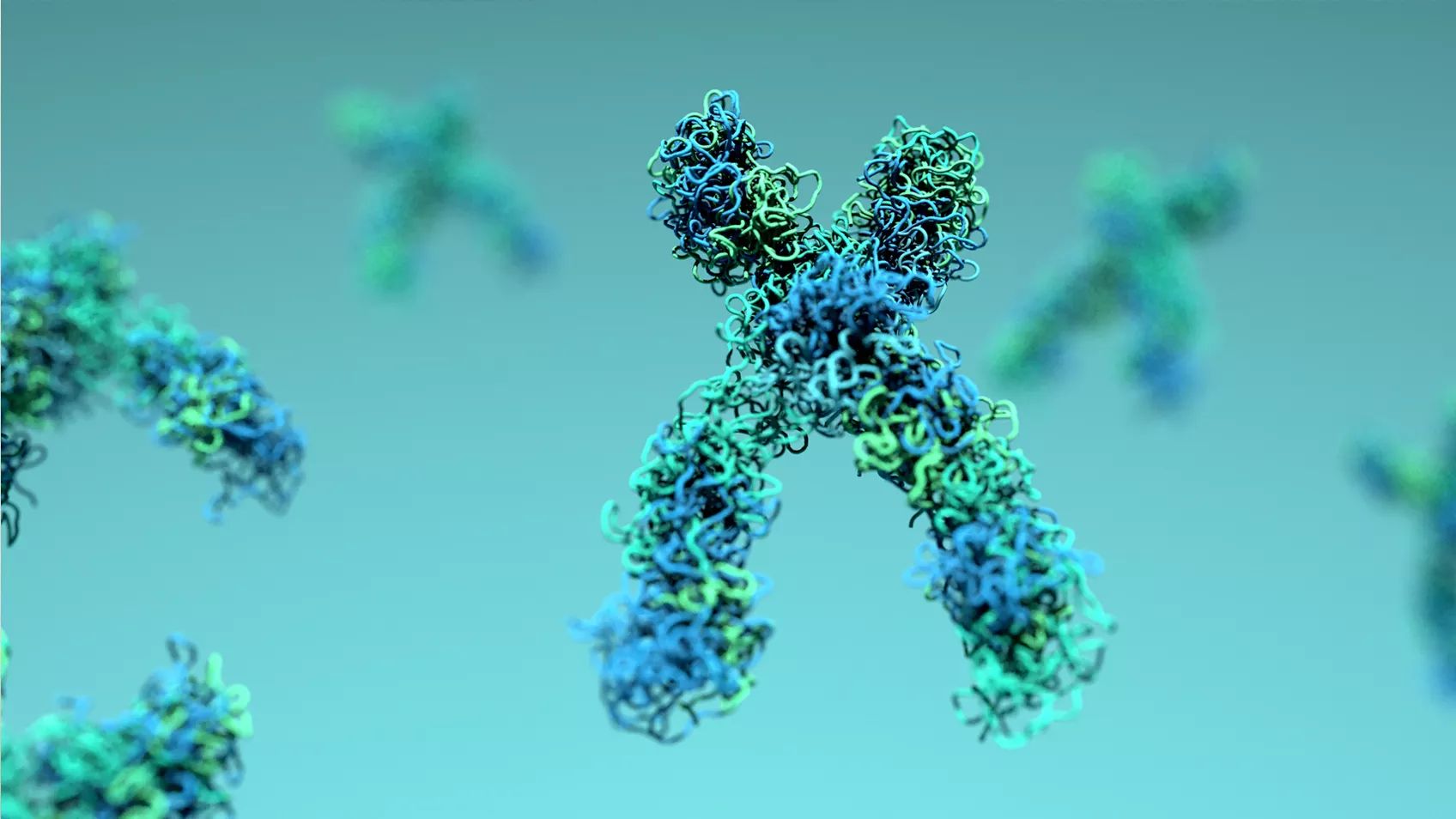 Consejos y Trucos Para el Análisis de Segmentos con el Navegador de Cromosomas de MyHeritageDNA