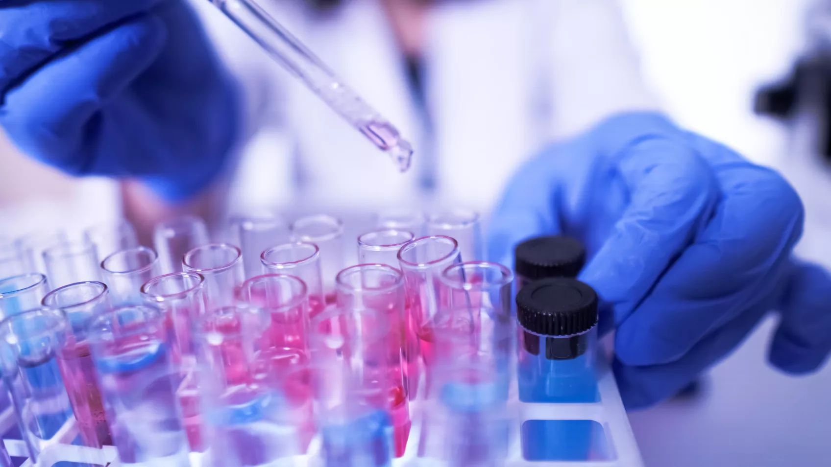 (Italian) Come espandere la propria genealogia con il DNA