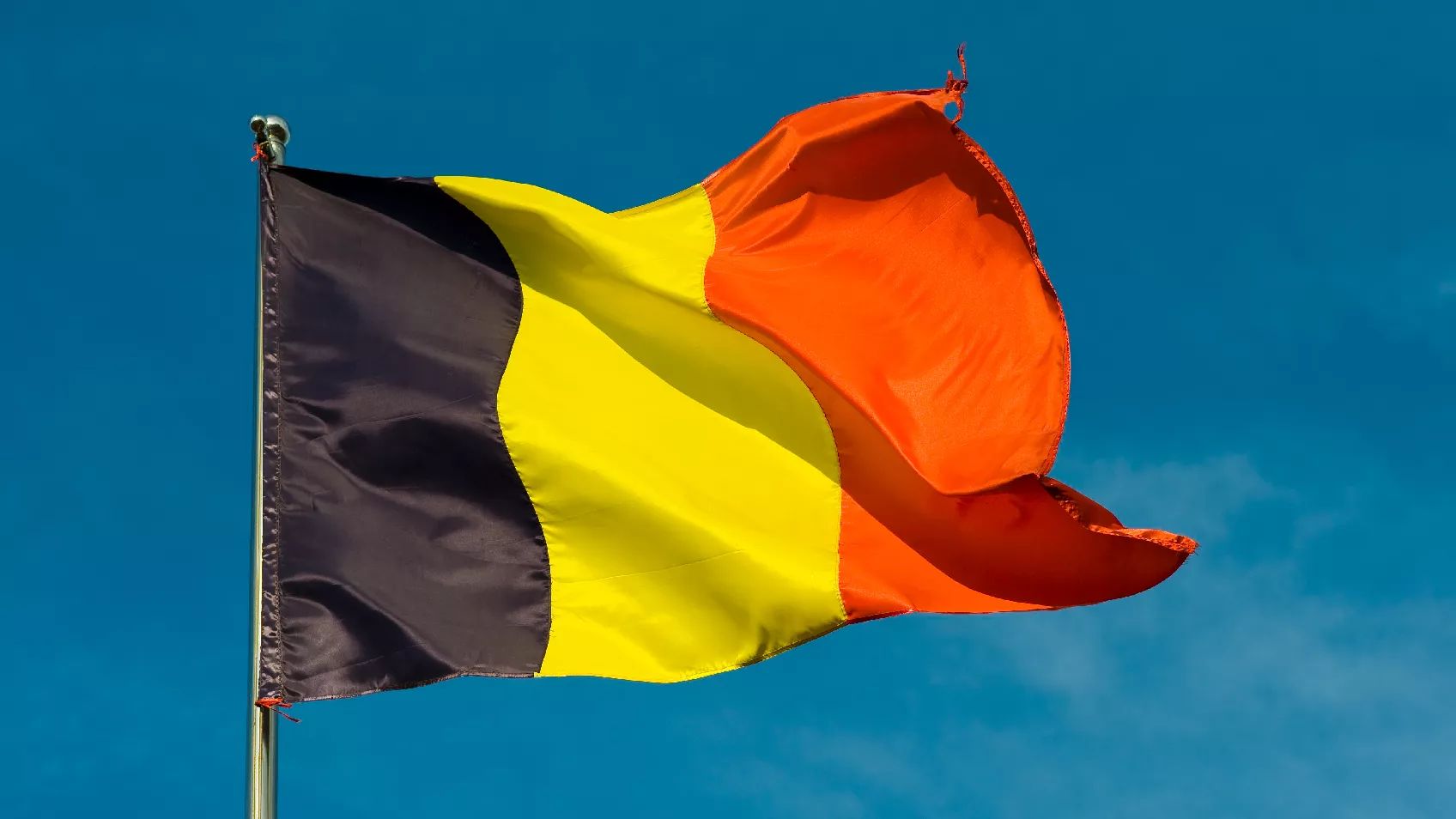 Black, Yellow, Red: Find Your Belgian Ancestors!