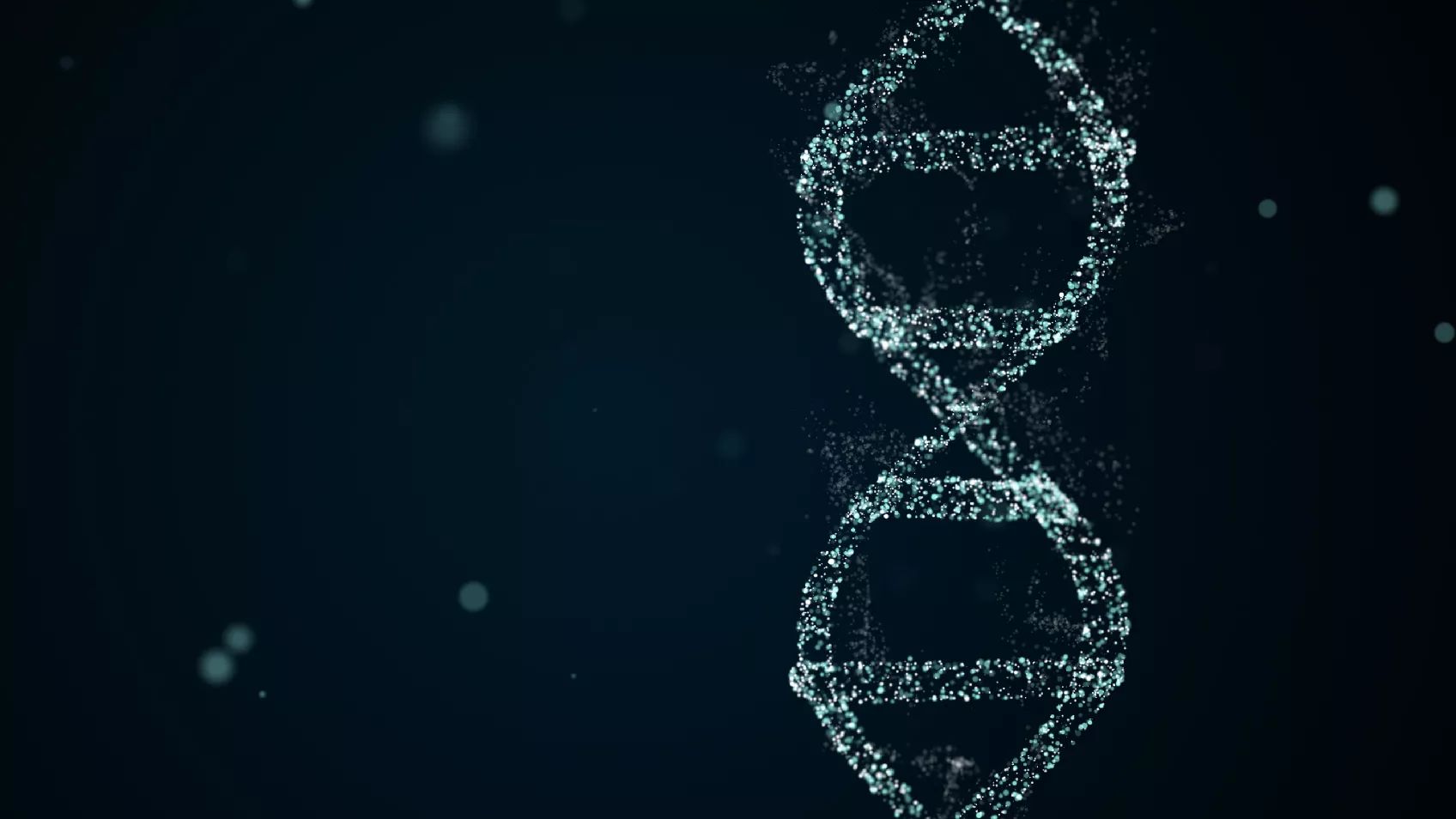 Clusters and Chains for Genealogical Success