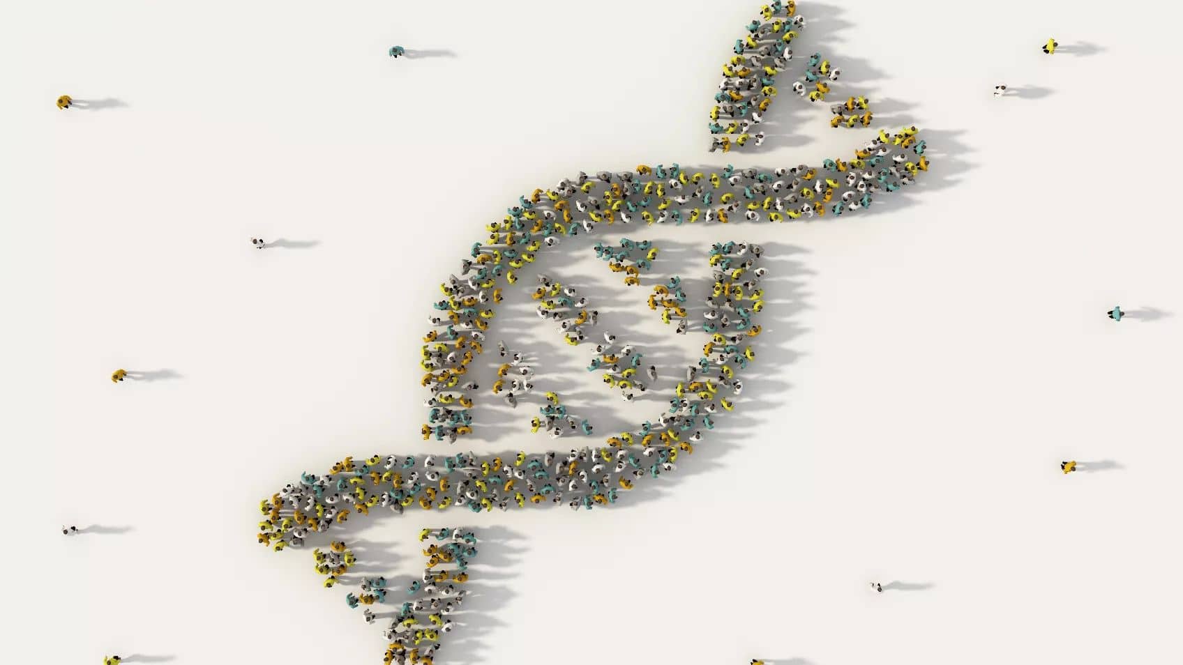 Exploring AncestryDNA's New Genetic Communities
