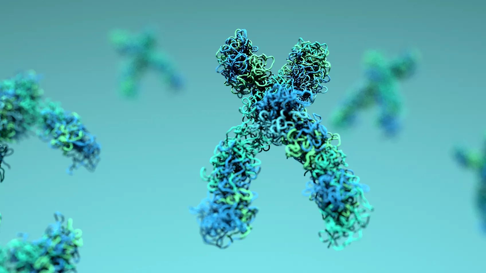 Reconstructing Your Genetic Family Tree